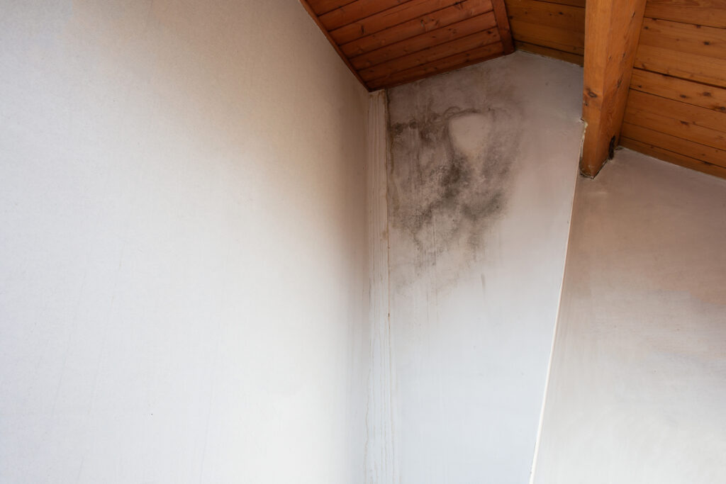 Water damage causing mold growth and dangerous toxic fungus in the room. The home needs a pro for roof repair in Spokane Valley to fix it FASTY