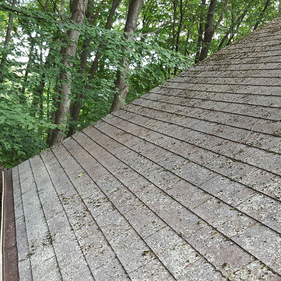 Roofing shingles in Hayden, ID, that need to be replaced.