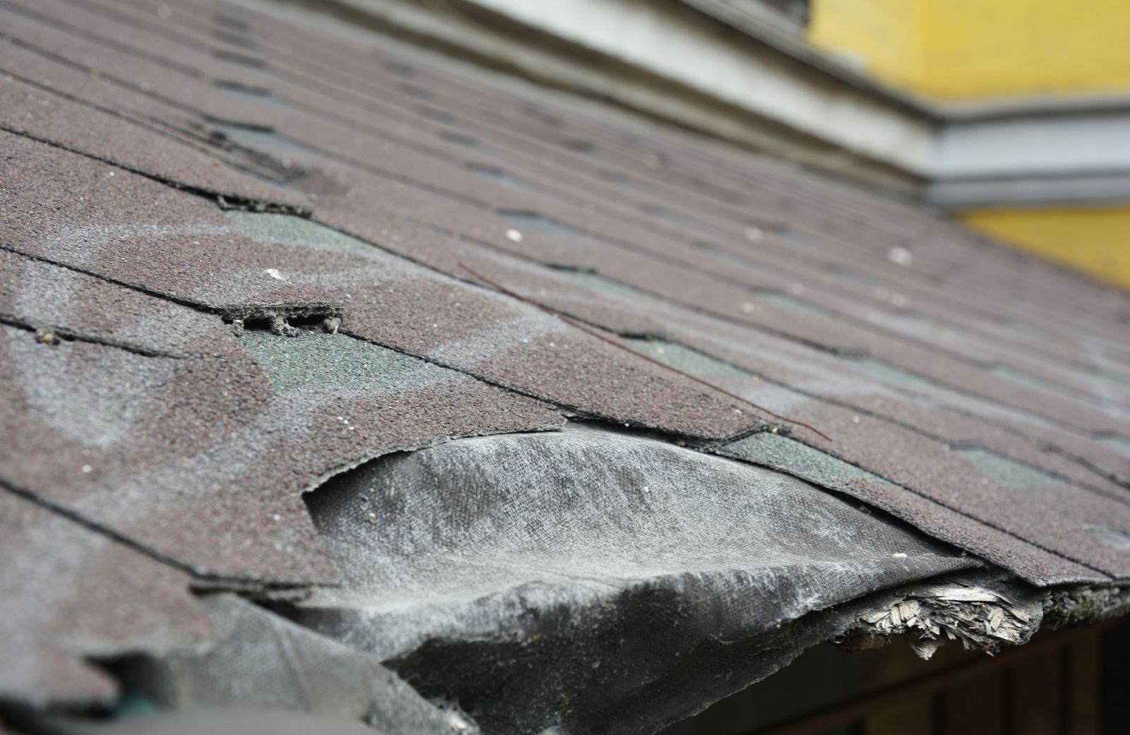 Lake City Roofing Images