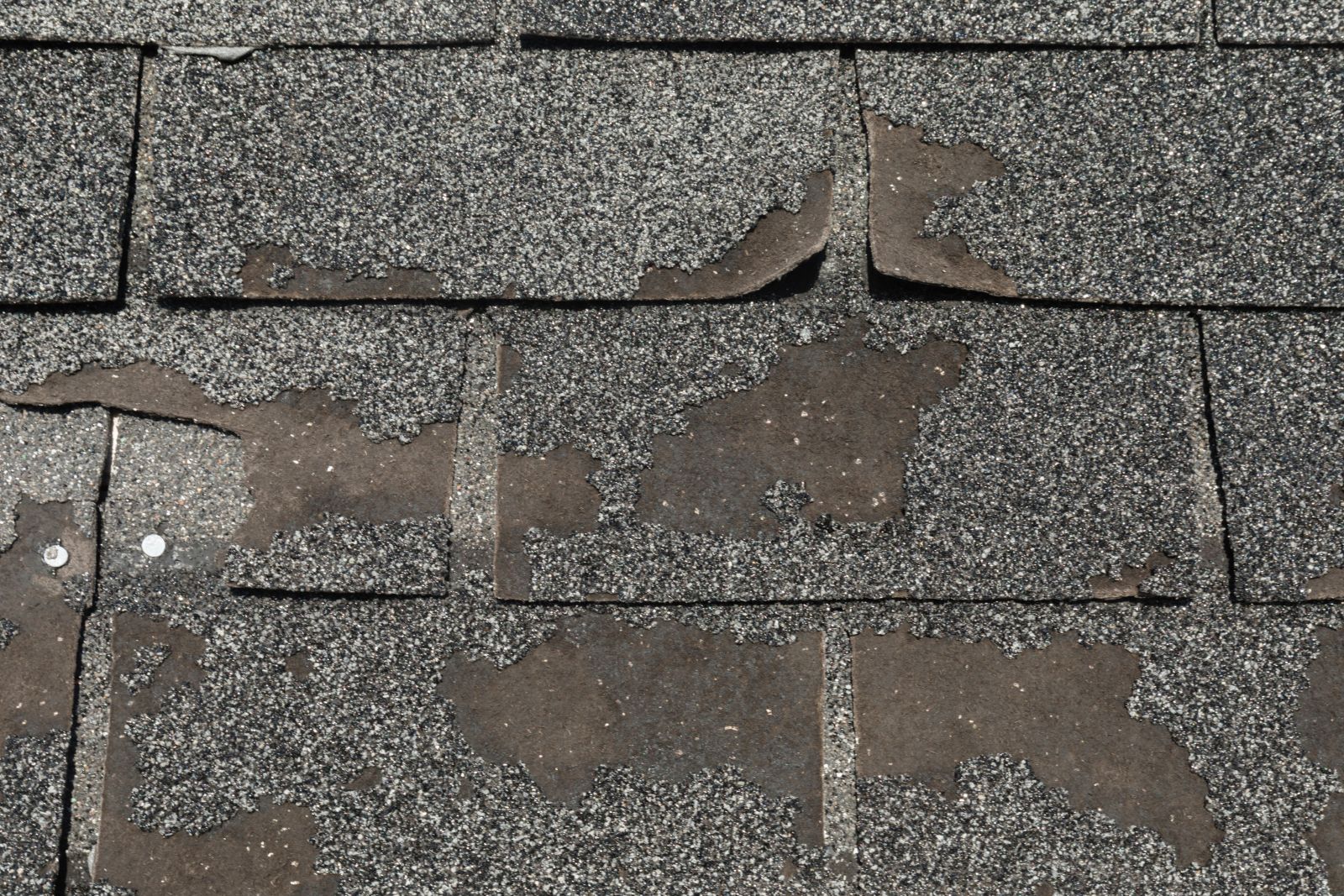 Lake City Roofing Images