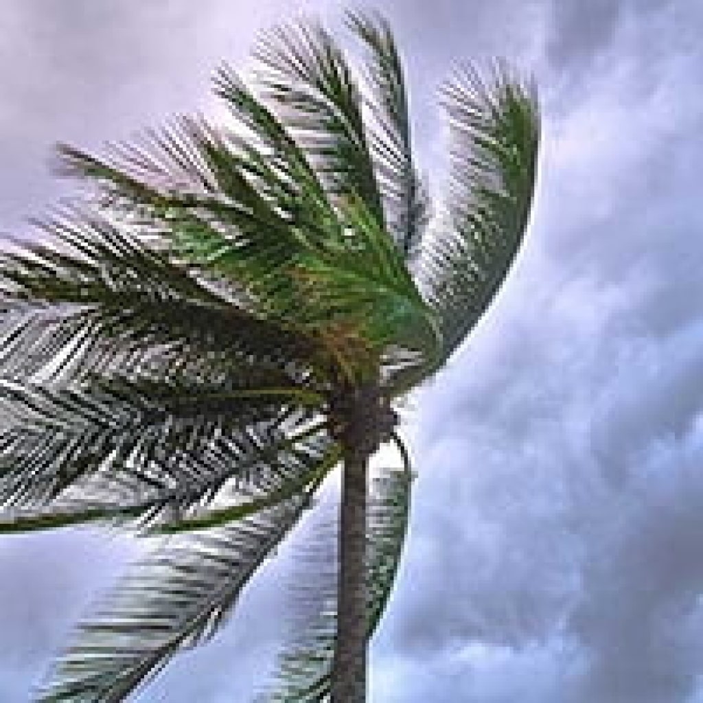 Lake City Roofing Images